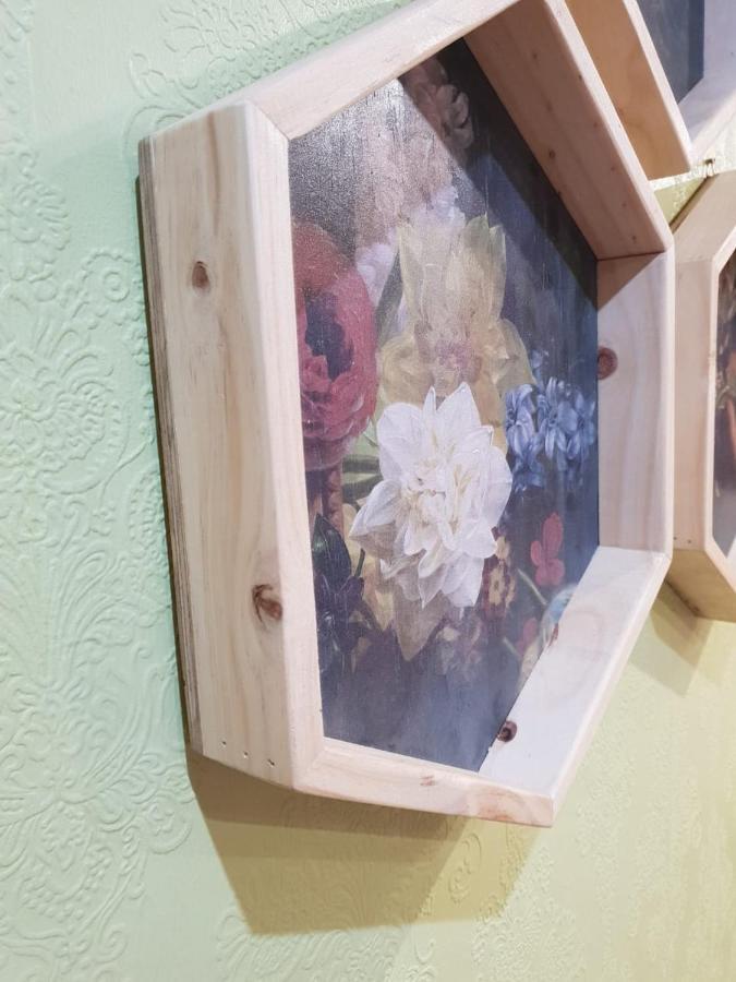 Rozenhof Guest Cottages جورج المظهر الخارجي الصورة